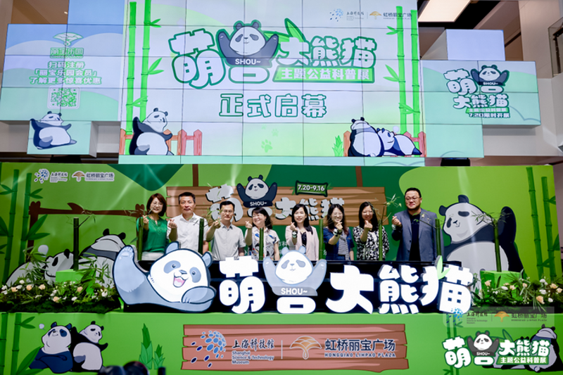 上海公益活动策划